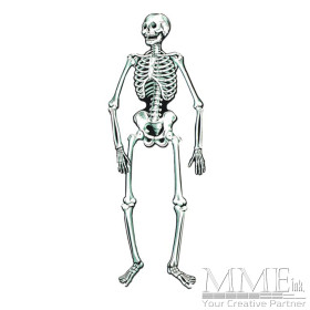 Jointed Skeletons Jointed Skeletons