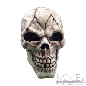 Large Skull Prop Large Skull Prop