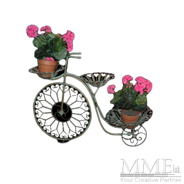 Flower Bike