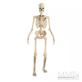 12 ft Skeleton with LCD Eyes