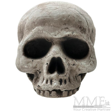 Jawless Skull