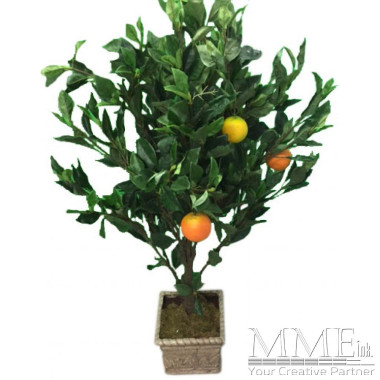 Small Orange Tree in Planter