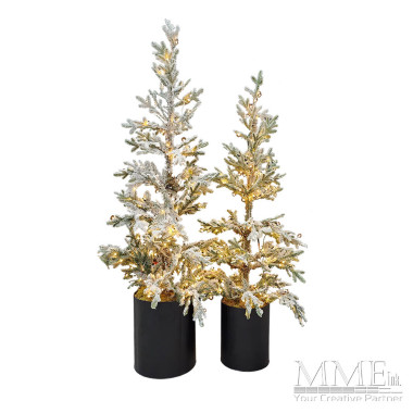 Potted Pre Lit Flocked Trees